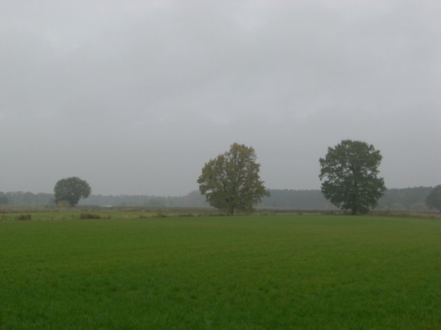 CTF Celle Strecke 032